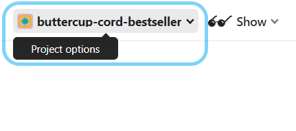 Glitch project options