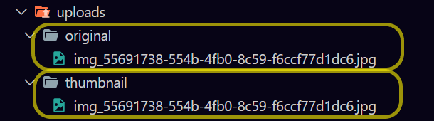Image-saved-inside-directories