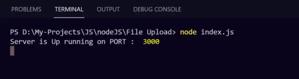express file upload - start server