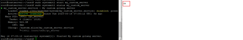 check my_custom_server service status